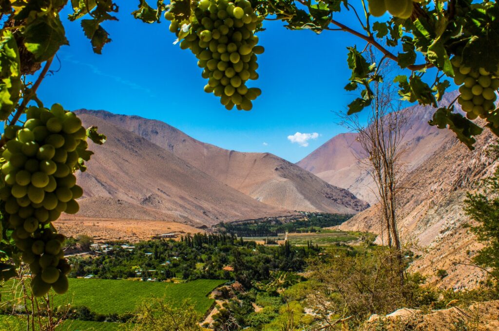 Valle de Elqui - Ecoturismo La Serena